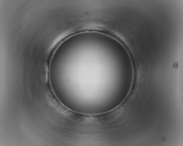 X0000111511219200907141328