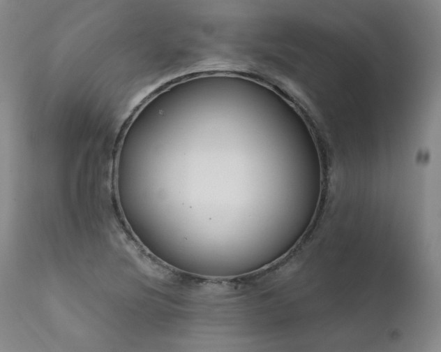X0000111511220200907141328