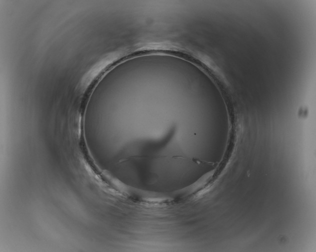 X0000111511221200907141328