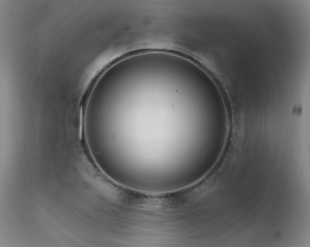 X0000111511223200907141328