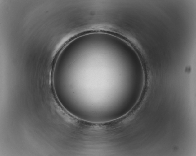 X0000111511224200907141328