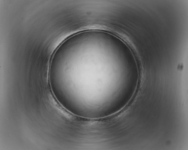 X0000111511228200907141328