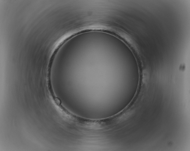 X0000111511229200907141328