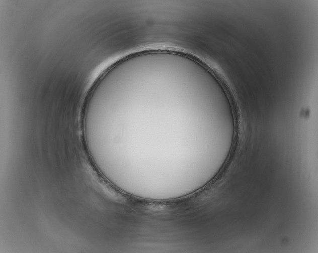 X0000111511230200907141328