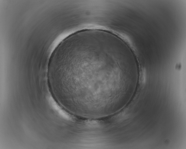 X0000111511231200907141328