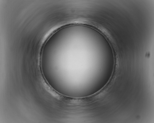X0000111511232200907141328