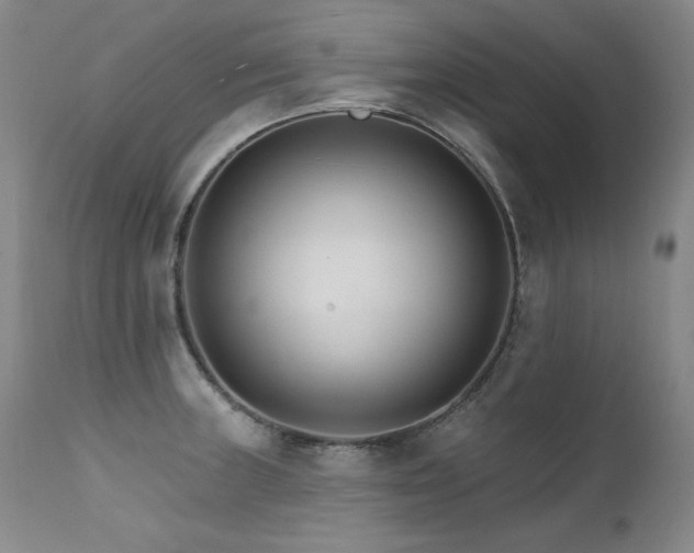 X0000111511235200907141328
