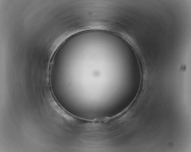 X0000111511236200907141328