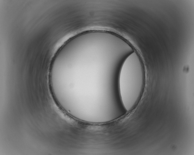 X0000111511237200907141328