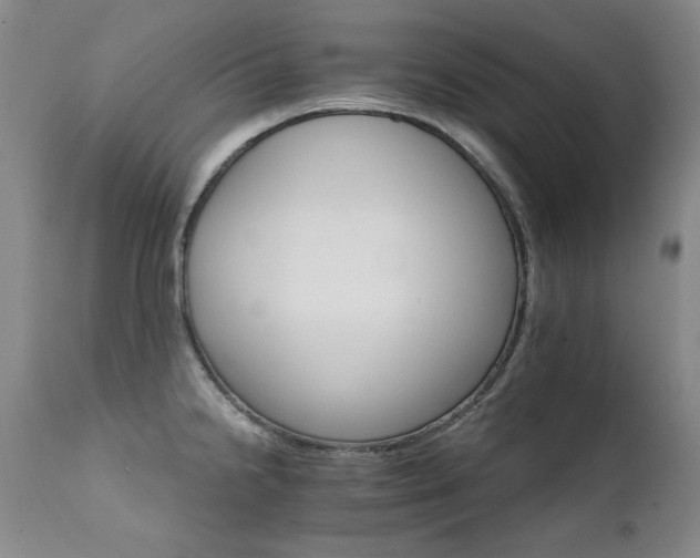 X0000111511238200907141328