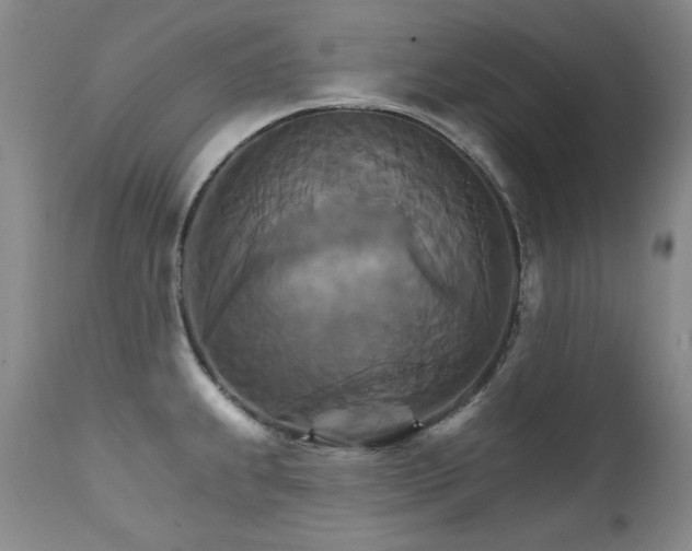 X0000111511239200907141328