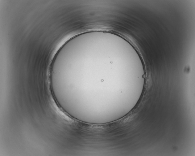 X0000111511243200907141328