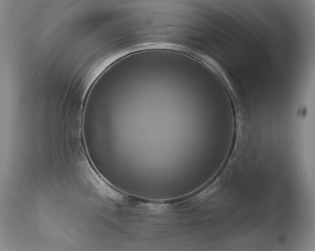 X0000111511244200907141328