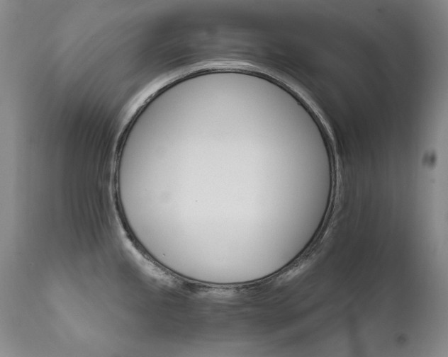 X0000111511245200907141328
