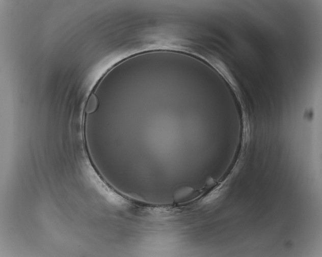 X0000111511246200907141328