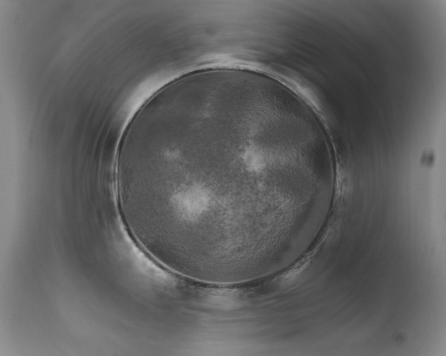 X0000111511247200907141328