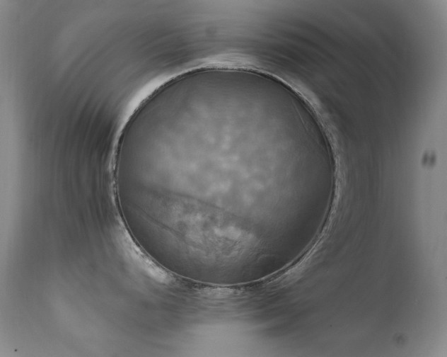 X0000111511248200907141328