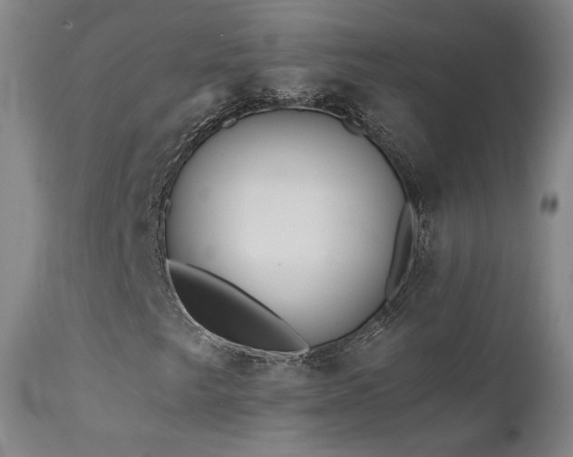 X0000111511249200907141327