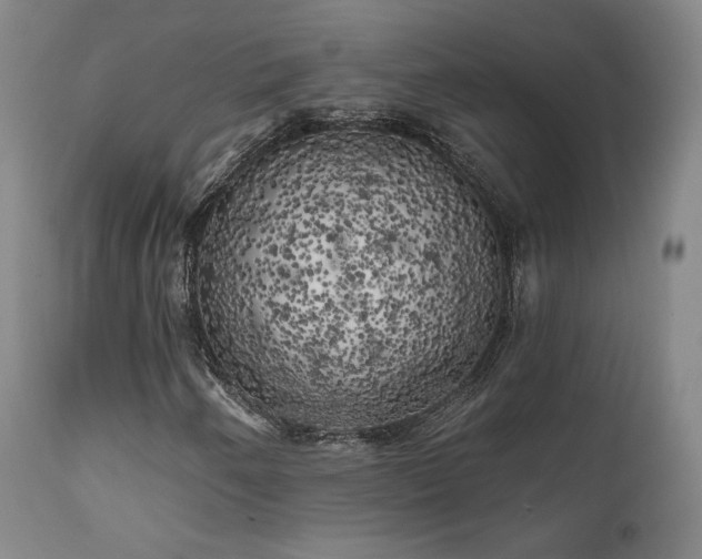X0000111511250200907141327