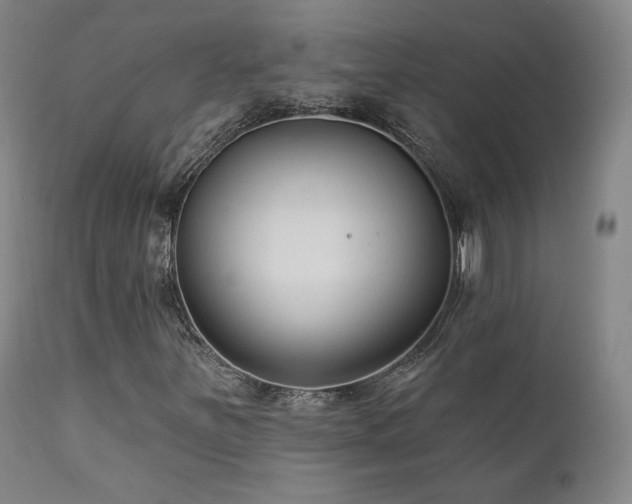 X0000111511251200907141327