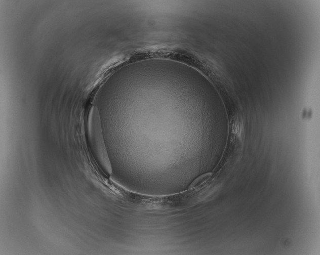 X0000111511252200907141327