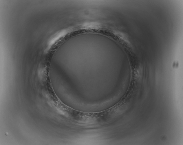 X0000111511254200907141327