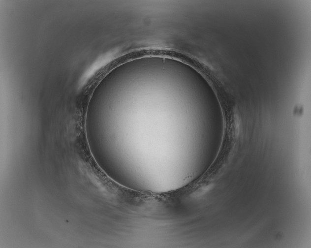 X0000111511255200907141327