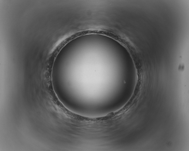 X0000111511256200907141327