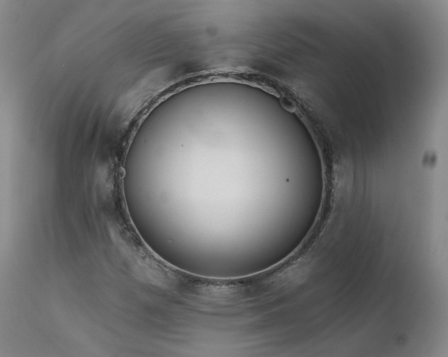 X0000111511257200907141327