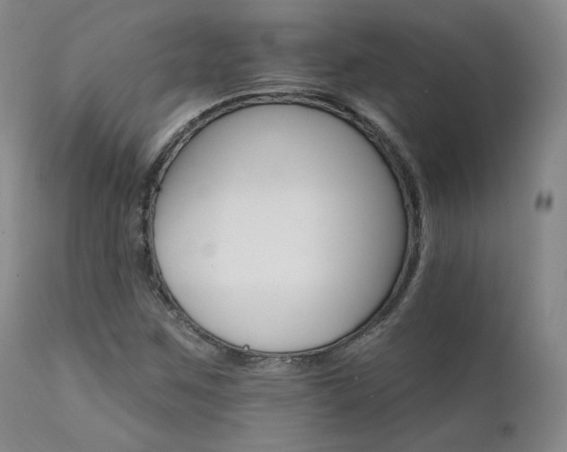 X0000111511259200907141327