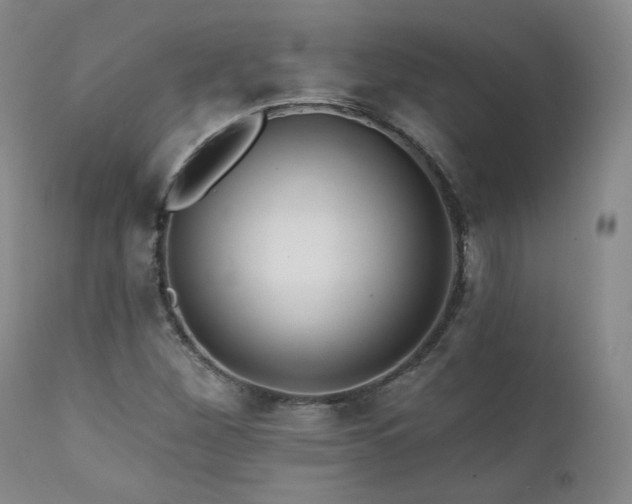 X0000111511260200907141327