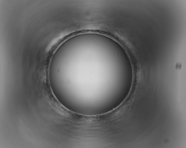 X0000111511262200907141327