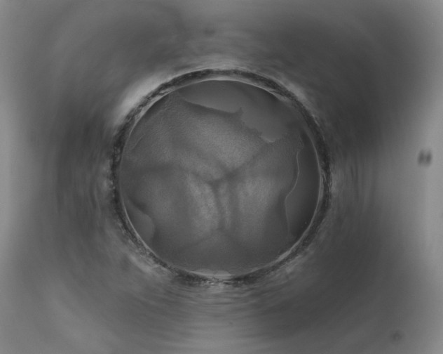 X0000111511263200907141327