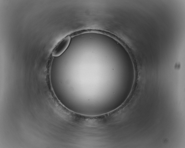 X0000111511264200907141327