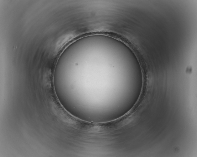 X0000111511265200907141327