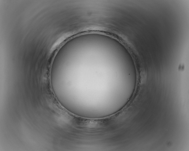 X0000111511266200907141327
