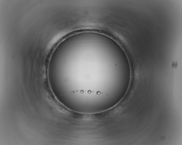 X0000111511267200907141327