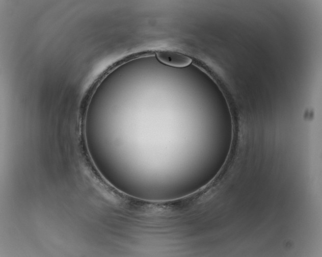 X0000111511270200907141327