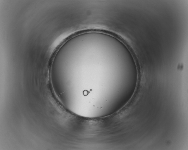 X0000111511271200907141327