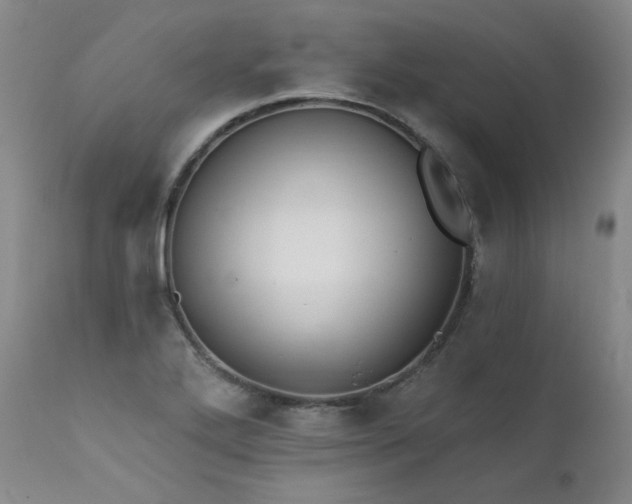 X0000111511272200907141327