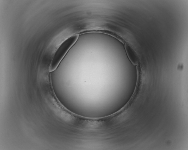 X0000111511273200907141327