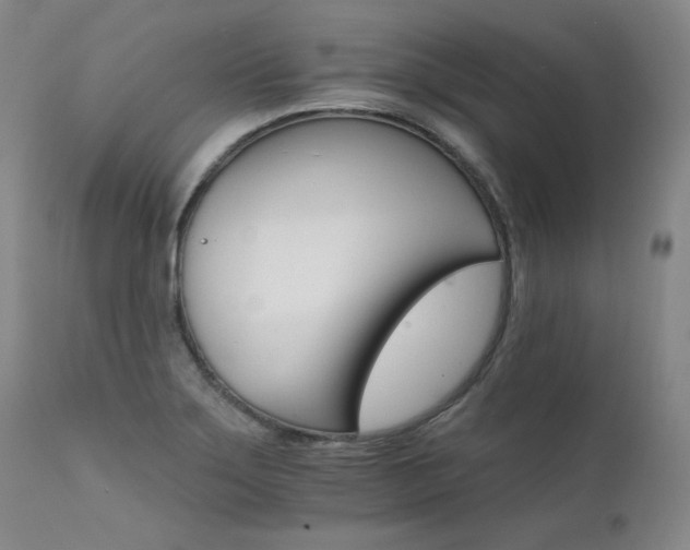 X0000111511275200907141327