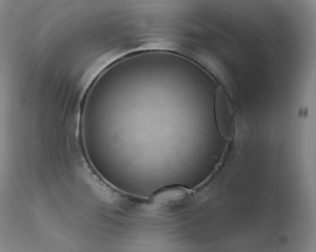 X0000111511276200907141327