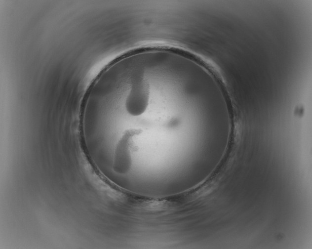 X0000111511279200907141327