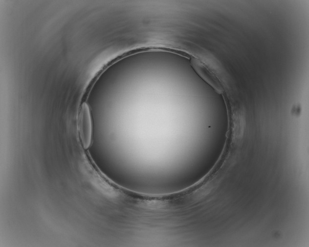X0000111511280200907141327
