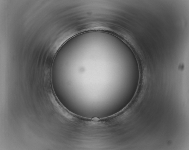X0000111511281200907141327