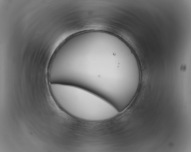 X0000111511283200907141327