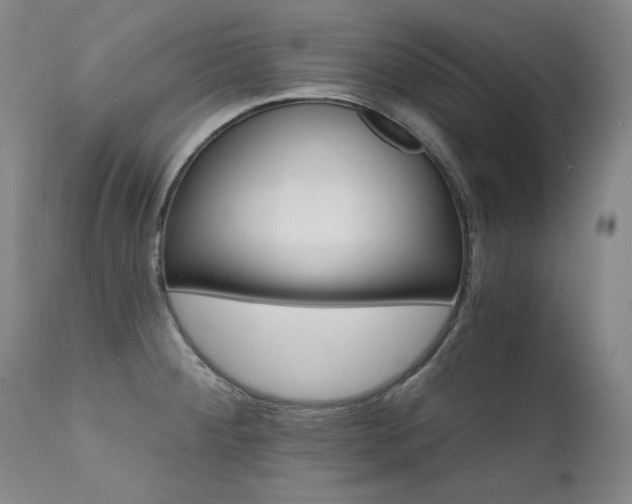 X0000111511284200907141327