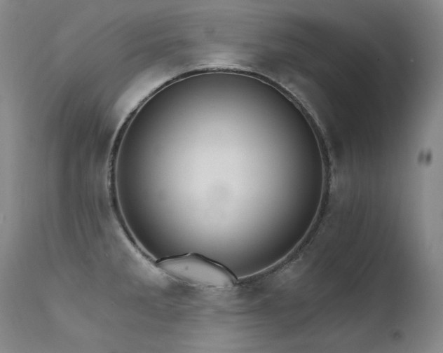 X0000111511285200907141327