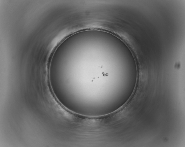 X0000111511286200907141327